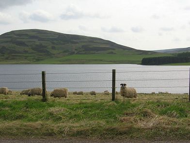 Whiteadder Reservoir Lammermuirs Schottland