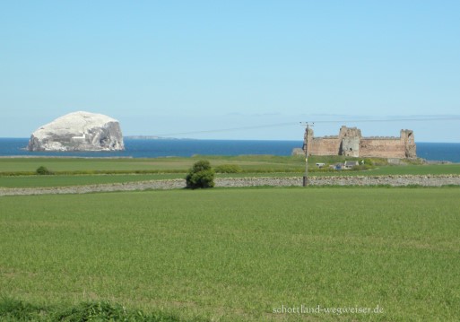 Bass Rock und Tantallon Castle, Schottland