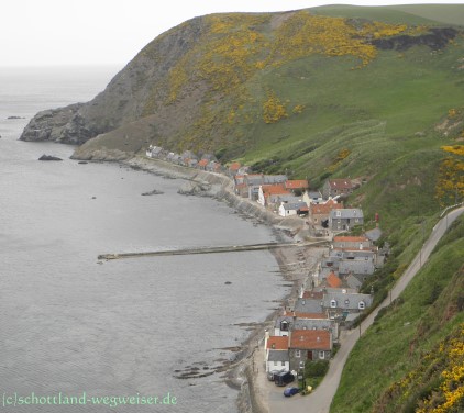 Crovie