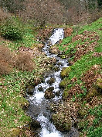 Dawyck Botanic Gardens